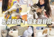 以大廚貓咪出裝攻略為主題的詳細分析（精心選擇裝備，讓大廚貓咪成為絕世廚藝大師）