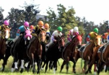 2023賭馬攻略（馬上贏錢不是夢！全面解析2023賭馬攻略，幫你輕松擊敗對手）