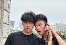 《克制雪原雙子——攻略大揭秘》（如何在戰斗中克制雪原雙子？）