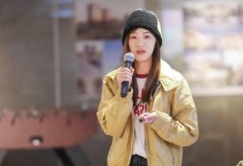 雪城壁虎出裝攻略（如何在游戲中選擇最佳裝備，提升戰斗實力）
