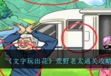 懷舊游戲《文字玩出花》19通關攻略（找回小時候的歡樂，挑戰文字游戲極限）