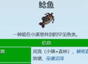 星露谷物語鯰魚在哪釣 星露谷物語鯰魚出現的時間