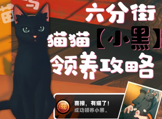 絕區零小黑貓怎么領養 絕區零領養小黑貓攻略