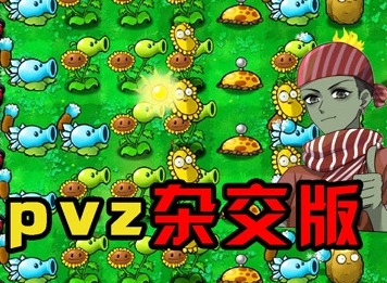 植物大戰僵尸雜交版冒險模式53關打法 pvz雜交版53關怎么過